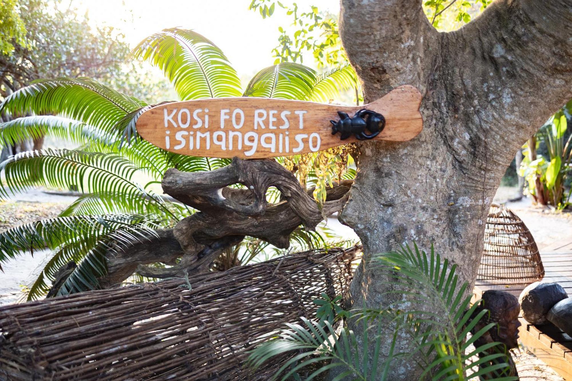 Kosi Forest Lodge Manguzi Eksteriør billede