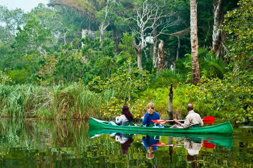 Kosi Forest Lodge Manguzi Eksteriør billede