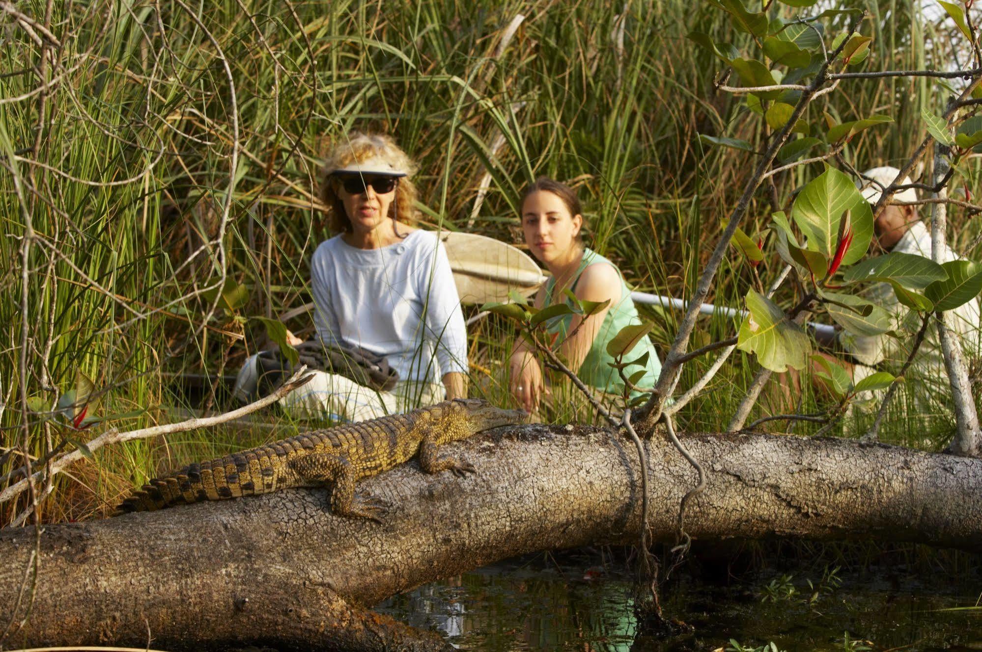Kosi Forest Lodge Manguzi Eksteriør billede