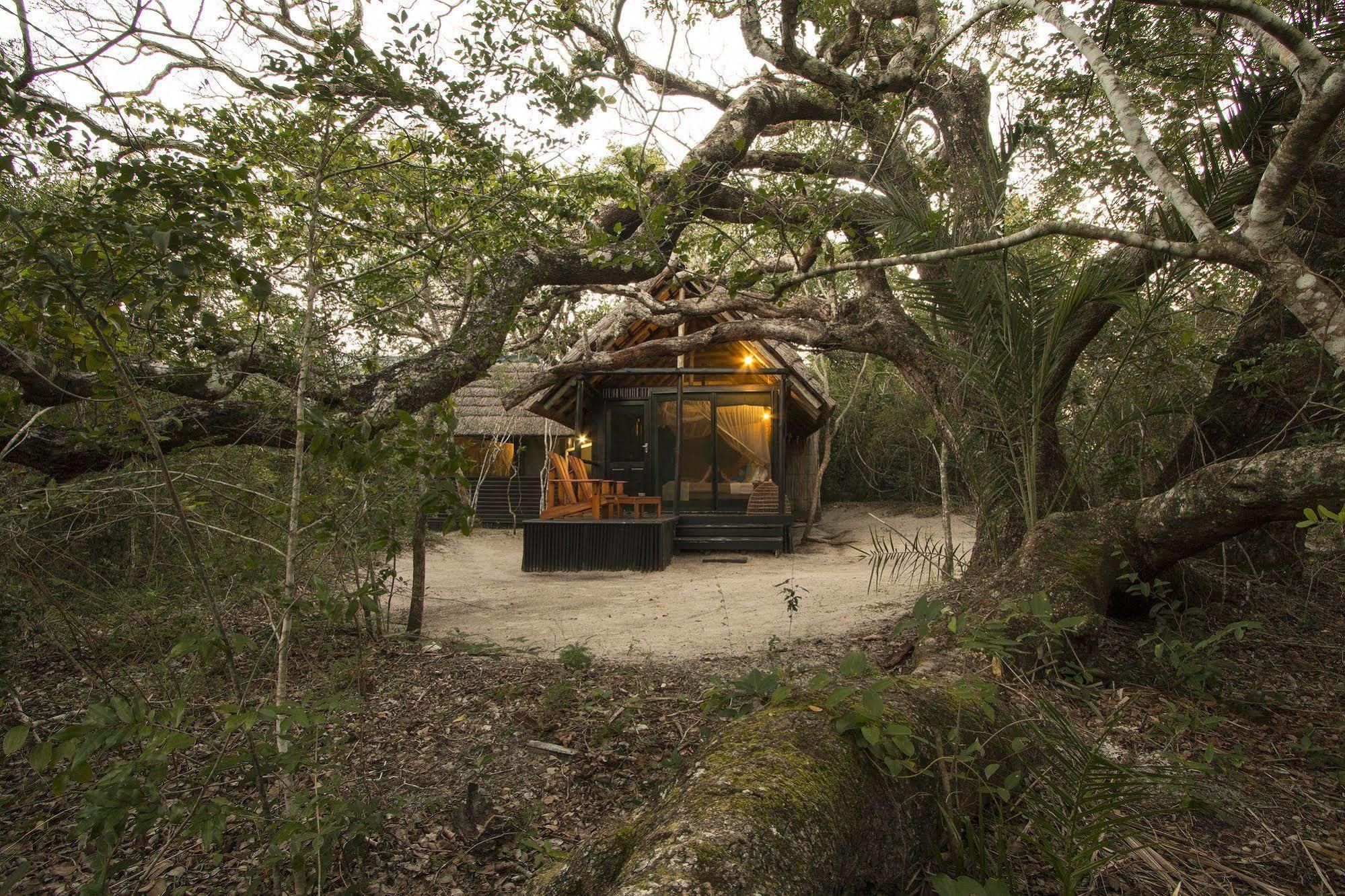 Kosi Forest Lodge Manguzi Eksteriør billede