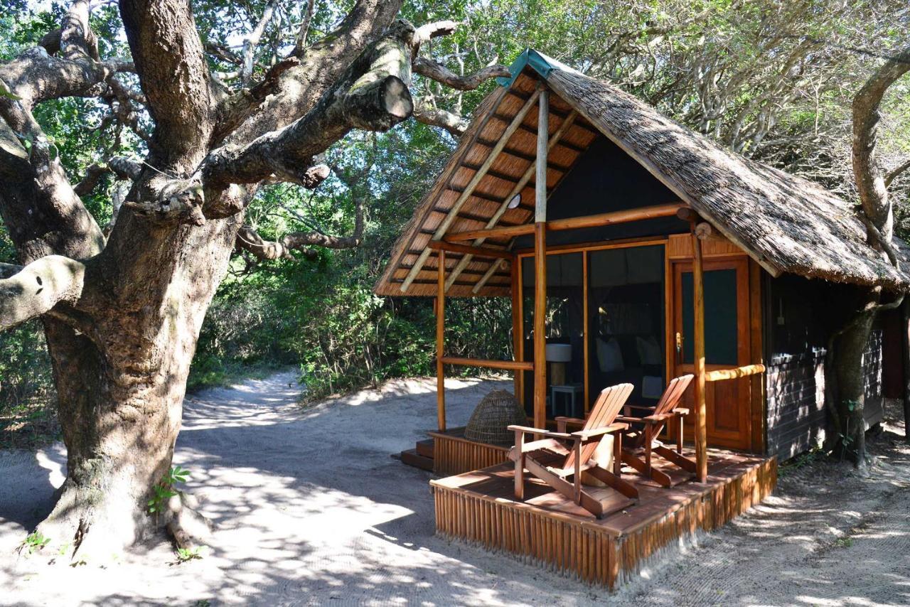 Kosi Forest Lodge Manguzi Eksteriør billede